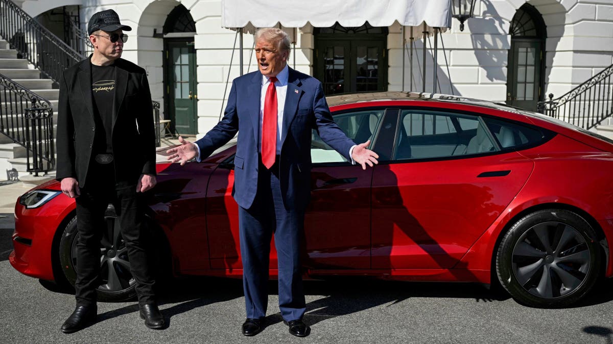 🚨 BREAKING : "Trump sta considerando di vendere la sua Tesla, secondo il WSJ"