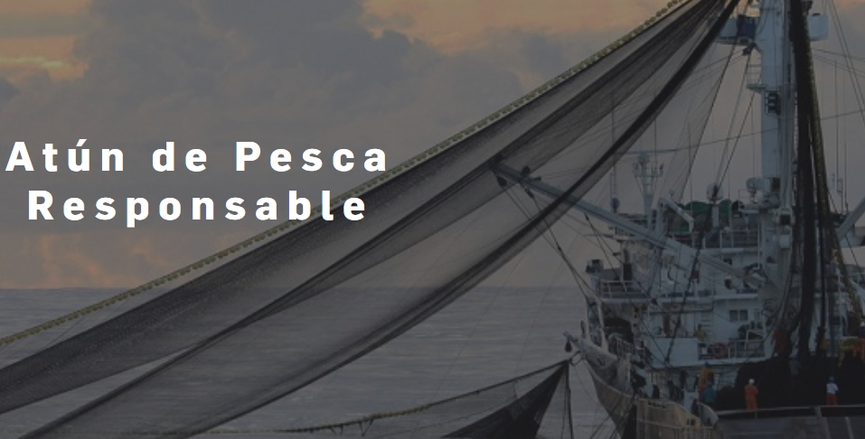 _Opagac's tweet photo. 🐟 ¿Por qué elegir atún con sello @apr_aenor #AtúnPescaResponsable?
✅ Capturas certificadas con criterios científicos y sostenibles
✅ Derechos laborales garantizados (#C188 @ilo)
✅ Trazabilidad total del producto
https://t.co/F1y208A5NR
#ConsumoConsciente #Sostenibilidad https://t.co/5pIum125Cd