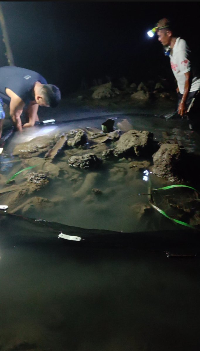 Dapdap Sea 2117 (@junex812) on Twitter photo 