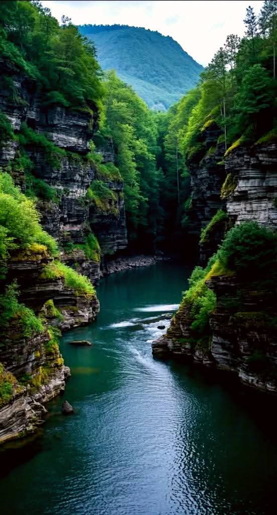 Good  morning  friends. We made it happy Friday. Have a great day.