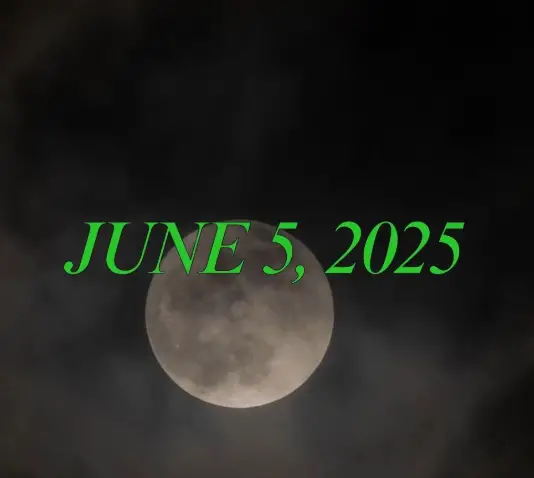 About that supposed Talking Heads reunion announcement… dlvr.it/TLCDfr #musicnews