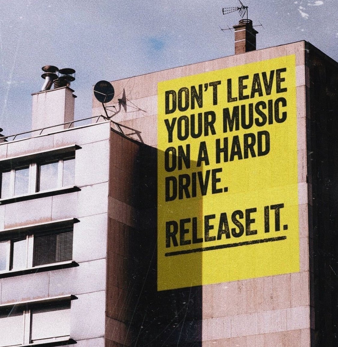Ditto Music tweet media
