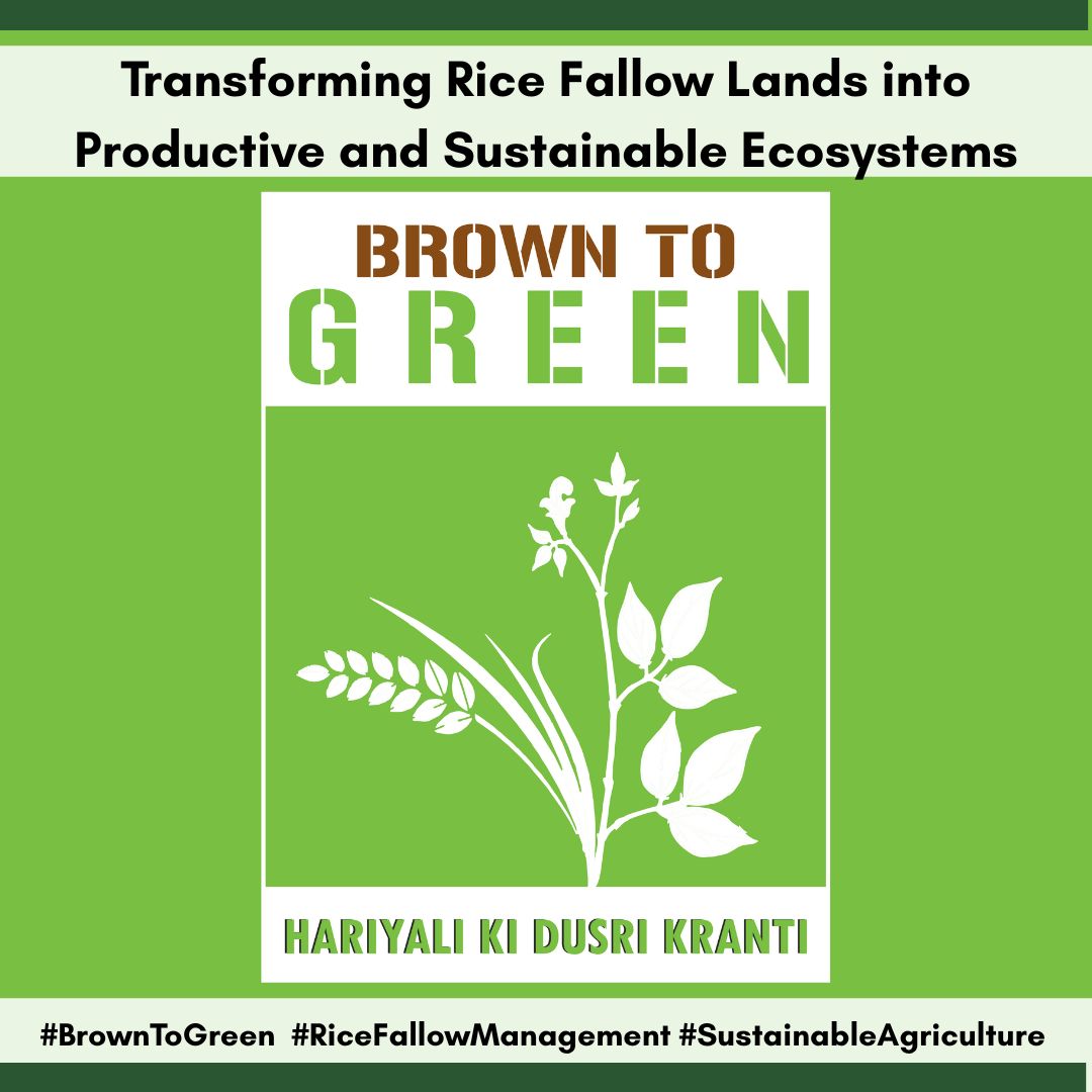 Atmashakti3's tweet photo. #BrownToGreen: Transforming Rice Fallow Lands into Sustainable, Thriving Ecosystems! By adopting second cropping, we can turn dormant fields into productive landscapes. Join the campaign, share your stories.
#BrownToGreen #ZeroIrrigation #RiceFallowManagement #SecondCropping https://t.co/X01h4HVNqN