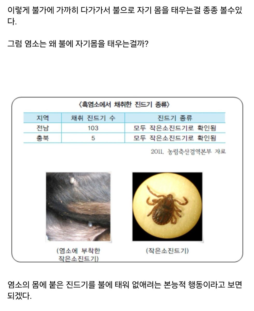 뭐이런본능이다있지