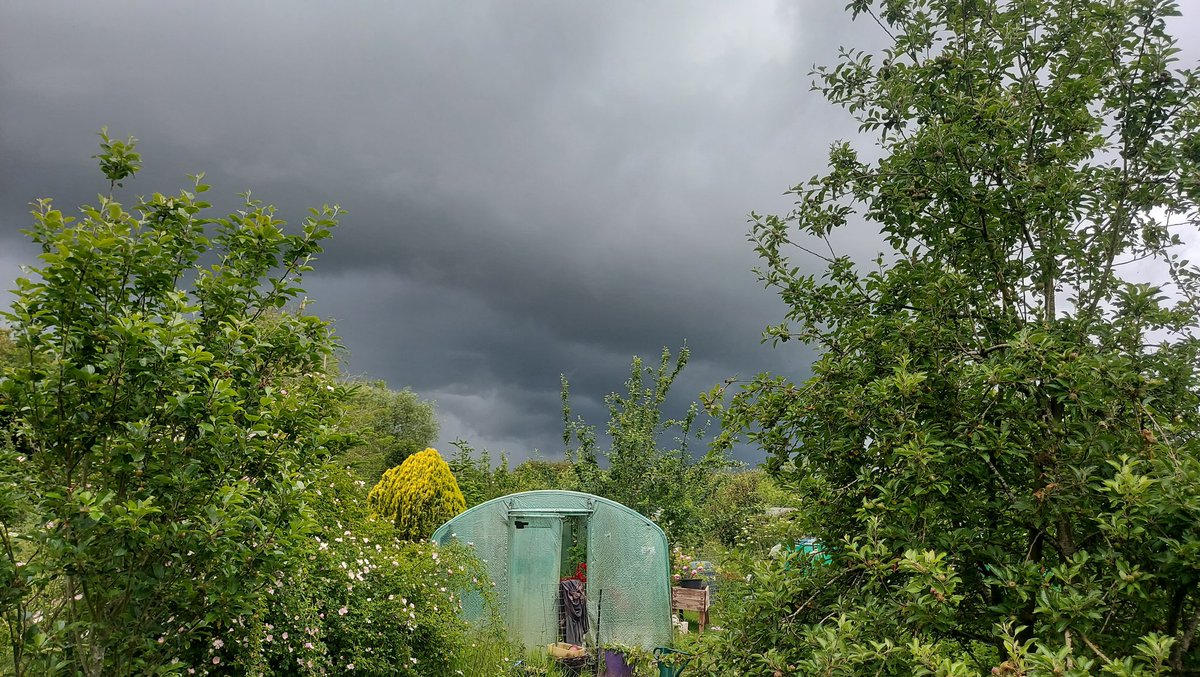 Looks like I am about to get soaked again (the plants are loving it).
