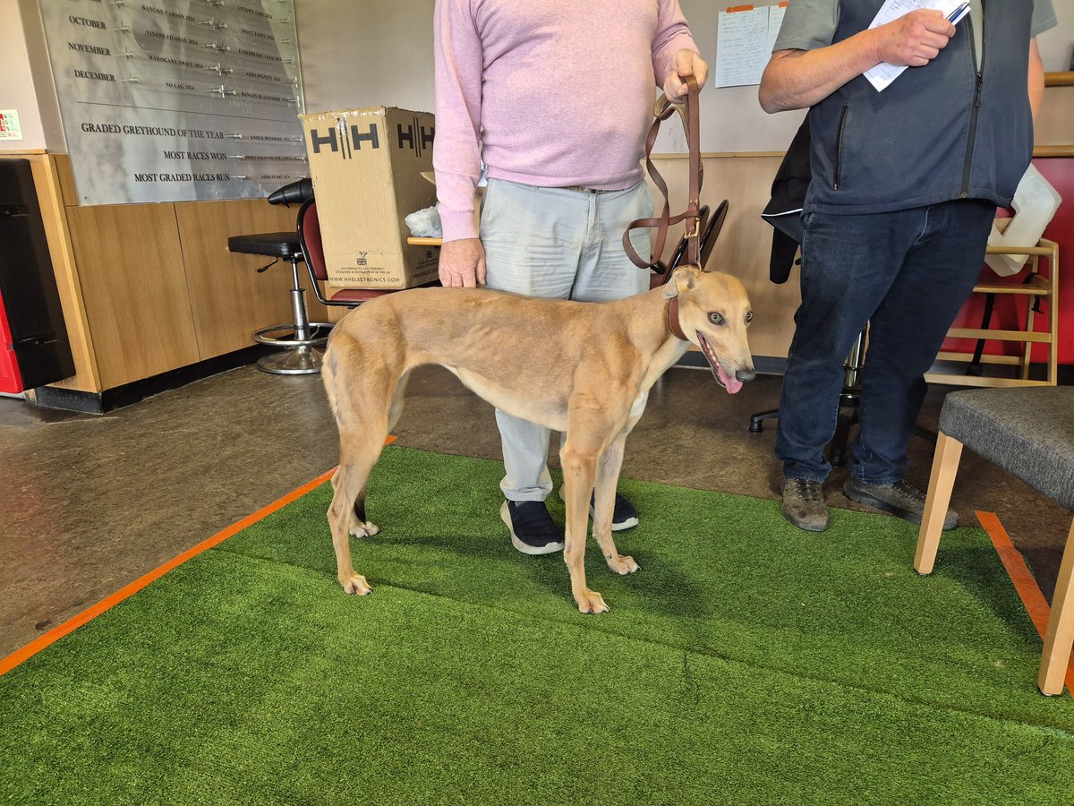 Lot 3 Awful Hurry SOLD at £8000 ONLINE