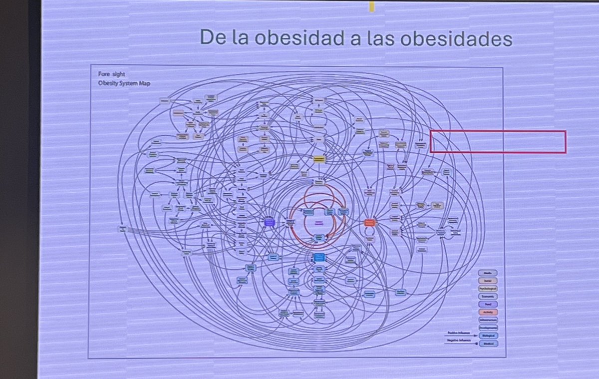 Diferentes tipos de obesidad. “No podemos meter a todos los pacientes en el mismo saco”