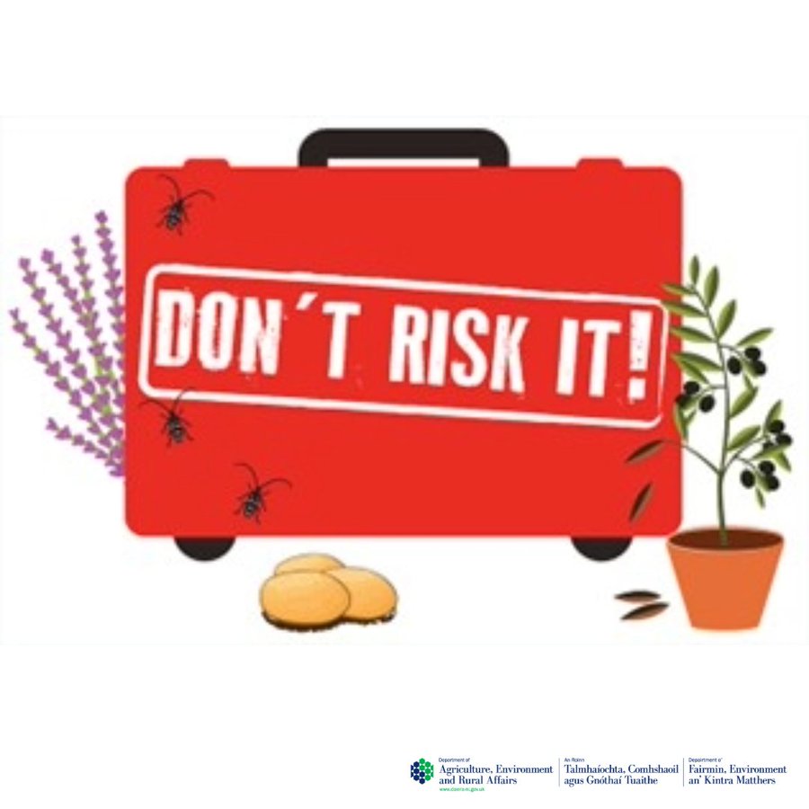 DAERA (@daera_ni) on Twitter photo ✈️Heading off on holiday this Bank Holiday wkd & plan on bringing meat products back?
⚠️Plse check rules on personal imports -if in doubt don’t bring back animal or plant products
🔗More info: daera-ni.gov.uk/articles/afric…
#AfricanSwineFever #FootandMouthDisease
<a href="/NI_LGA/">NILGA</a> <a href="/belfastairport/">Belfast International Airport</a> ✈️Heading off on holiday this Bank Holiday wkd & plan on bringing meat products back?
⚠️Plse check rules on personal imports -if in doubt don’t bring back animal or plant products
🔗More info: daera-ni.gov.uk/articles/afric…
#AfricanSwineFever #FootandMouthDisease
<a href="/NI_LGA/">NILGA</a> <a href="/belfastairport/">Belfast International Airport</a>