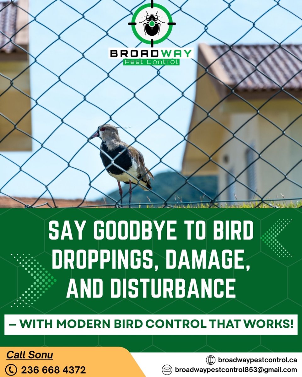 BroadPest93579's tweet image. Don’t let pests take the spotlight — Broadway Pest Control is here to protect your space, safely and effectively. 🛡️

☎+1 236-668-4372
🌐 broadwaypestcontrol.ca

#BroadwayPestControl #PestFreeLiving #SafeAndCleanSpaces #HomeProtection #PestSolutions