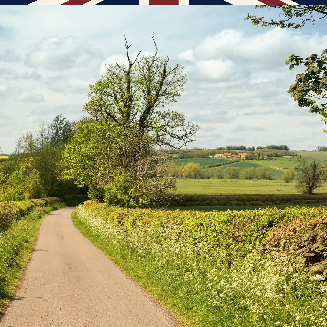 Anyone else still haunted by UK country lanes?
Speed limit says 60… but your soul says absolutely not.

We’re talking wing mirrors brushing hedgerows, blind bends, and the sheer panic when a tractor appears out of nowhere. Character-building stuff.

@kalanighosthunter just