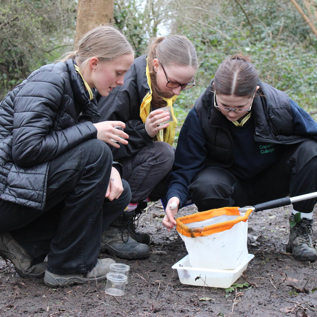 Passionate about animals?🐒 Visit our Open Day on Saturday 21 June 2025 from 10am to 3pm to find out how we can help you start a career working with animals. 

Explore our facilities, meet expert tutors, and get ready for this September: hubs.ly/Q03pHZL90