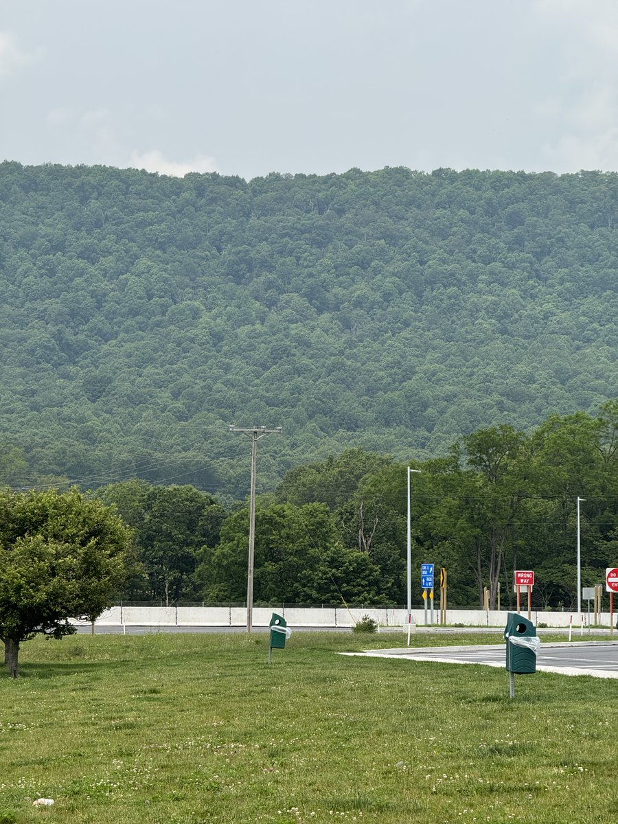 The mountains of Pennsylvania in summer... just big green walls.