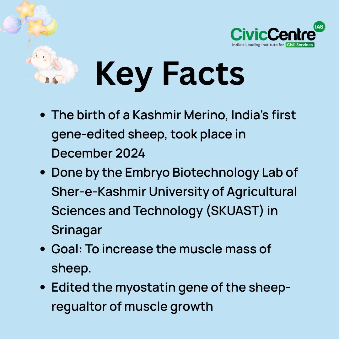Civiccentre_in's tweet image. CivicCentre IAS | Infographics | 06-06-2025

India's first gene-edited sheep

#GeneEditing #CRISPR #BiotechIndia #gene_edited_sheep #IndiaScience #NewIndia #LivestockInnovation #SheepFarming #AnimalGenetics #AgriInnovation #AgriNews #UPSC2025 #CivicCentreIAS #ScienceAndTech