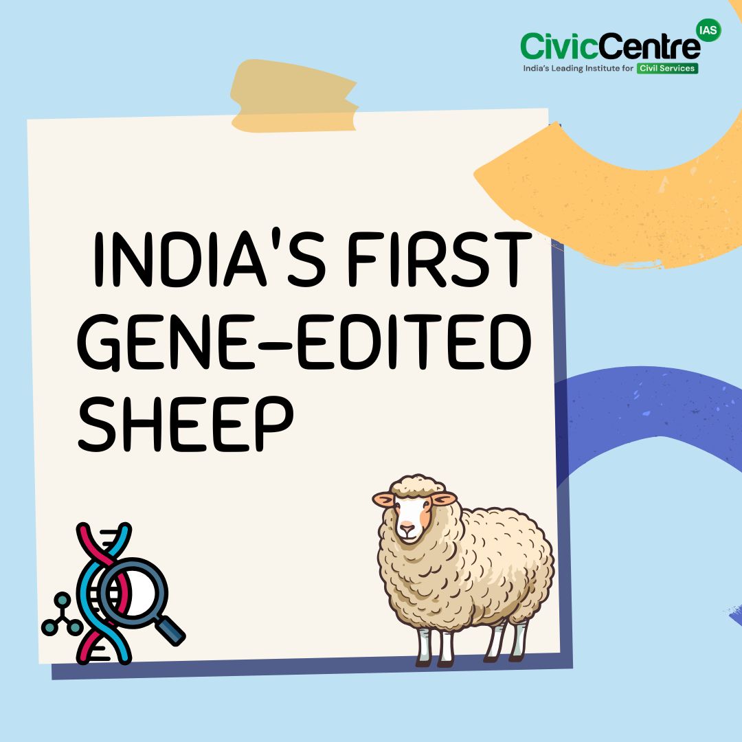 Civiccentre_in's tweet image. CivicCentre IAS | Infographics | 06-06-2025

India's first gene-edited sheep

#GeneEditing #CRISPR #BiotechIndia #gene_edited_sheep #IndiaScience #NewIndia #LivestockInnovation #SheepFarming #AnimalGenetics #AgriInnovation #AgriNews #UPSC2025 #CivicCentreIAS #ScienceAndTech