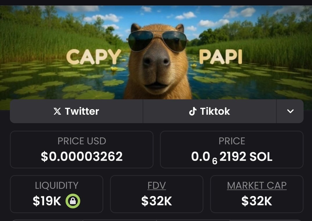 sro_cto's tweet photo. I give you another popular tiktok Ai vlog. 

Capypapi, with over 800k followers on Tiktok in just 5 days of launching

Aq8FCZiYHKaMUWTq23QWR9kEk4ynr1fNj2T5xqjSpump 

Strong and active community. https://t.co/0SkihclbYO