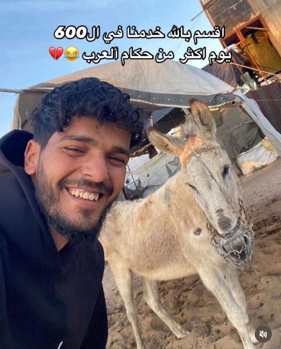 🔘شاب غزاوي يقول خدمنا هذا الحمار 600 يوم وقدم لنا نفع وخير، اكثر من حكام وجيوش العرب.

هل توافقه?
#غزه_تقاوم_وستنتصر_باذن_الله
#عيد_الأضحى_المبارك
#فلسطين_قضية_الشرفاء