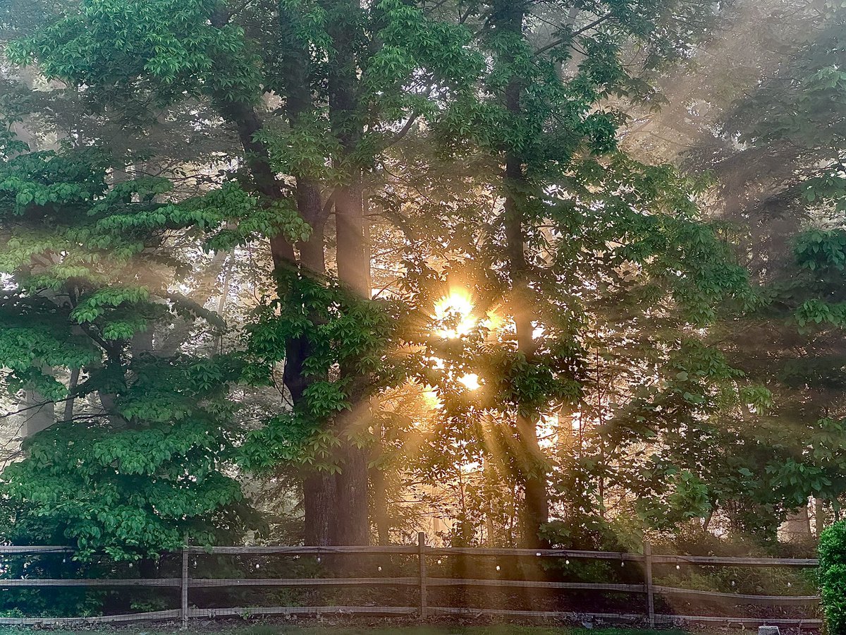 F3Centerfold / Mike Micciche tweet media