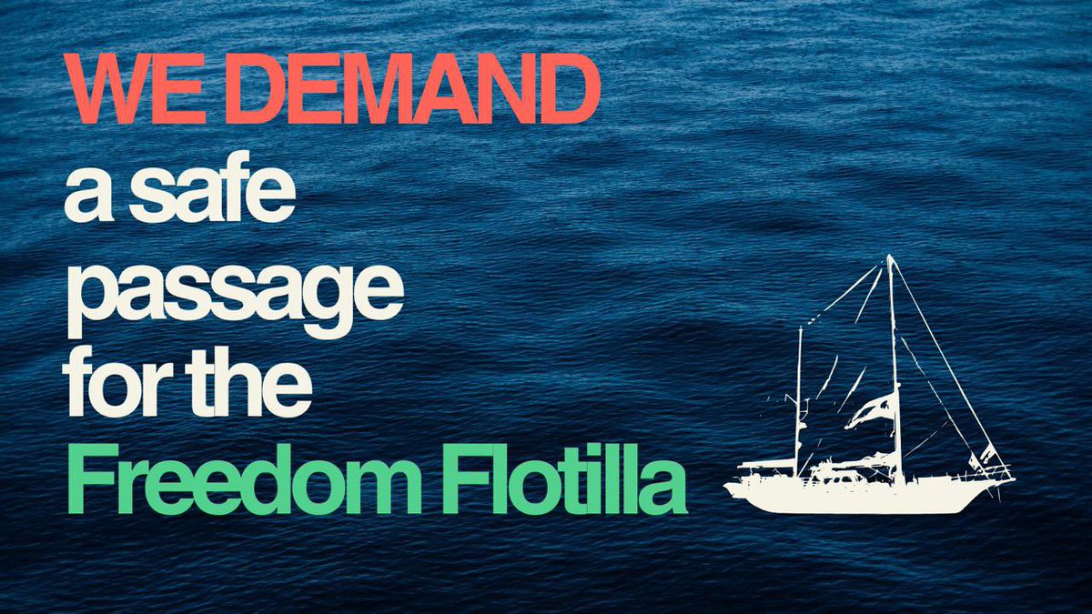 La population de Gaza a un droit fondamental à recevoir une aide humanitaire via ses eaux territoriales. 

Le Freeedom Flotilla à le droit de circuler librement en eaux internationales.

Je demande le passage sécurisé du navire humanitaire Freedom Flotilla.

Je demande la fin du