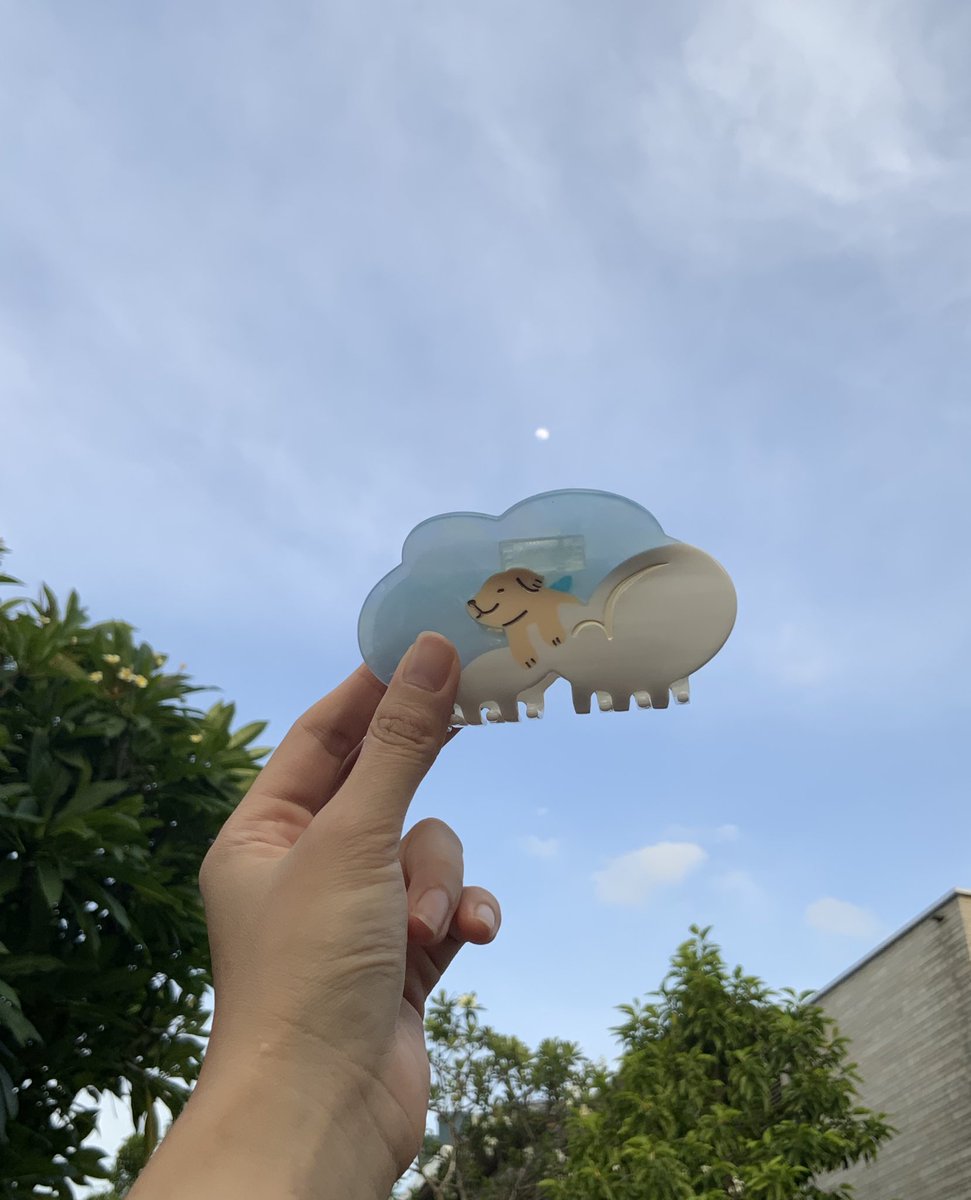 มาแล้วคั้บบ เด็กๆมาถึงมือแล้ว ตื่นเต้นมาก กิ๊ปติดผมเซทแรกของเรา คงคอนเสปความท้องฟ้าเอาไว้เหมือนเดิม มีแทรกเจ้าน้องเด้นเกาะเมฆ และ คุณวาฬกับดวงจันทร์เข้ามาด้วย ☁️🦮🐋🌛

เจอกันที่งาน #IFEXPO25 รอบนี้ลงบูธใหญ่ 2x2 ม ไปเรียบร้อยยย
ที่บูธ A11 นะคะ ออนไลน์เดี๋ยวมาอัพเดทค่า
#goodsby2an