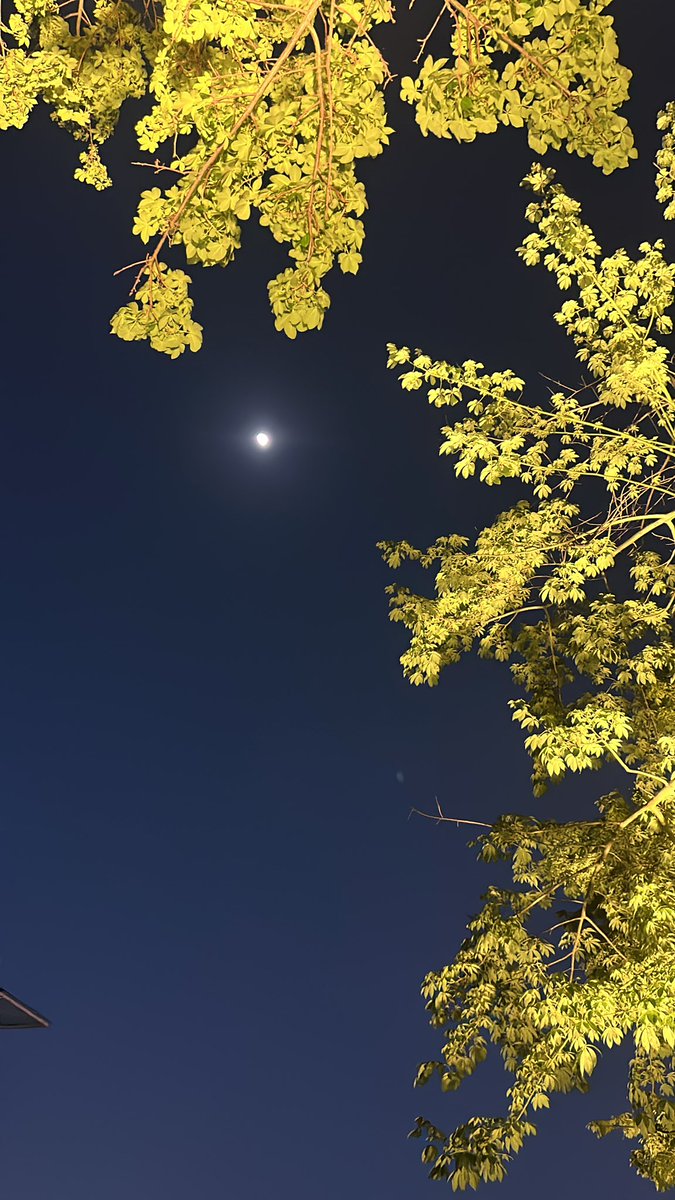 南城中心广场乘凉，微风吹佛很舒服