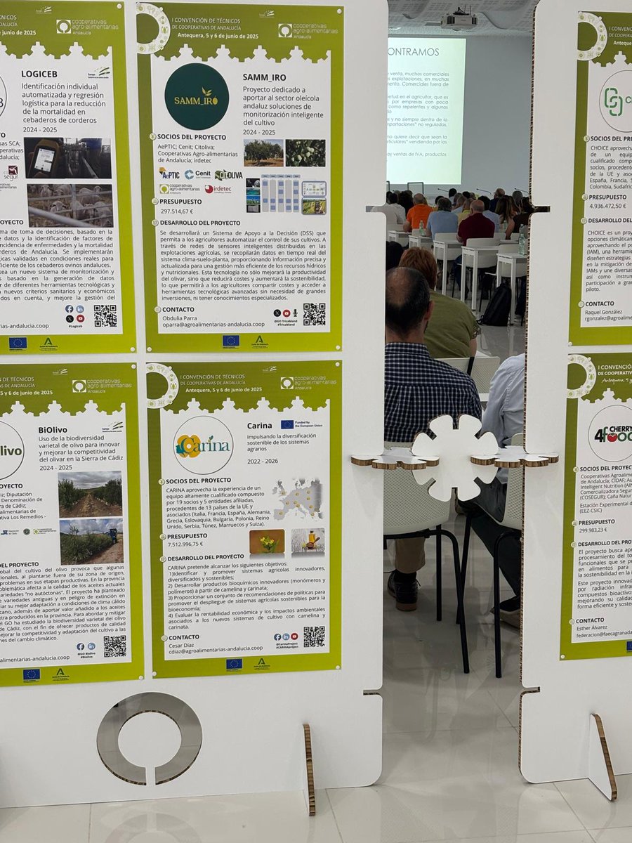 Cooperativas Agro-alimentarias de España (@coopsagroes) on Twitter photo Y los servicios técnicos de #cooperativas de #Andalucia <a href="/CoopsAgroAND/">Cooperativas Agro-alimentarias de Andalucía</a> también han podido conocer <a href="/CARINA_Project/">CARINA project</a> que impulsa la diversificación #sostenible a través del cultivo de #carinata y #camelina
#bioeconomía <a href="/HorizonEU/">Horizon Europe 🇪🇺</a>
I #ConvencióndeTécnicos agro-alimentarias.coop/projects/proye… Y los servicios técnicos de #cooperativas de #Andalucia <a href="/CoopsAgroAND/">Cooperativas Agro-alimentarias de Andalucía</a> también han podido conocer <a href="/CARINA_Project/">CARINA project</a> que impulsa la diversificación #sostenible a través del cultivo de #carinata y #camelina
#bioeconomía <a href="/HorizonEU/">Horizon Europe 🇪🇺</a>
I #ConvencióndeTécnicos agro-alimentarias.coop/projects/proye…