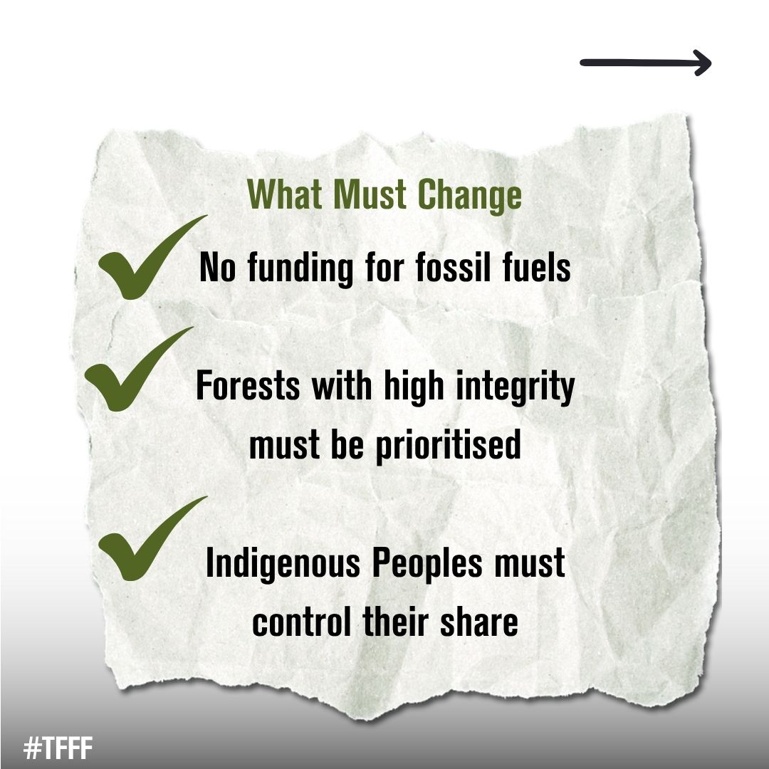 The current #TFFF plans need to be fixed. 

How? 
🤚 Alignment with <a href="/IFC_org/">IFC</a> safeguards
🛑 No funding for fossil fuels or harmful industries
📢 Direct support for Indigenous Peoples &amp; local communities
🌿 Real protections for forests
⚖️ Fair, inclusive &amp; transparent governance