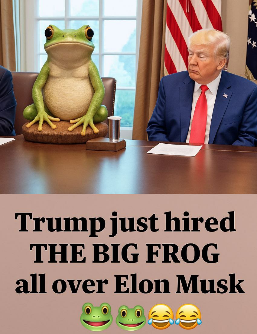 Trump just hired THE BIG FROG all over Elon Musk,  this is  the rise of a new power player in the game, a playful jab that got everyone croaking with laughter! 😂🐸
<a href="/FrogGamesFun/">Frog Games</a>
 #BigFrog #ElonMusk #PoliticalHumor #FrogPower $FG #FGmidget