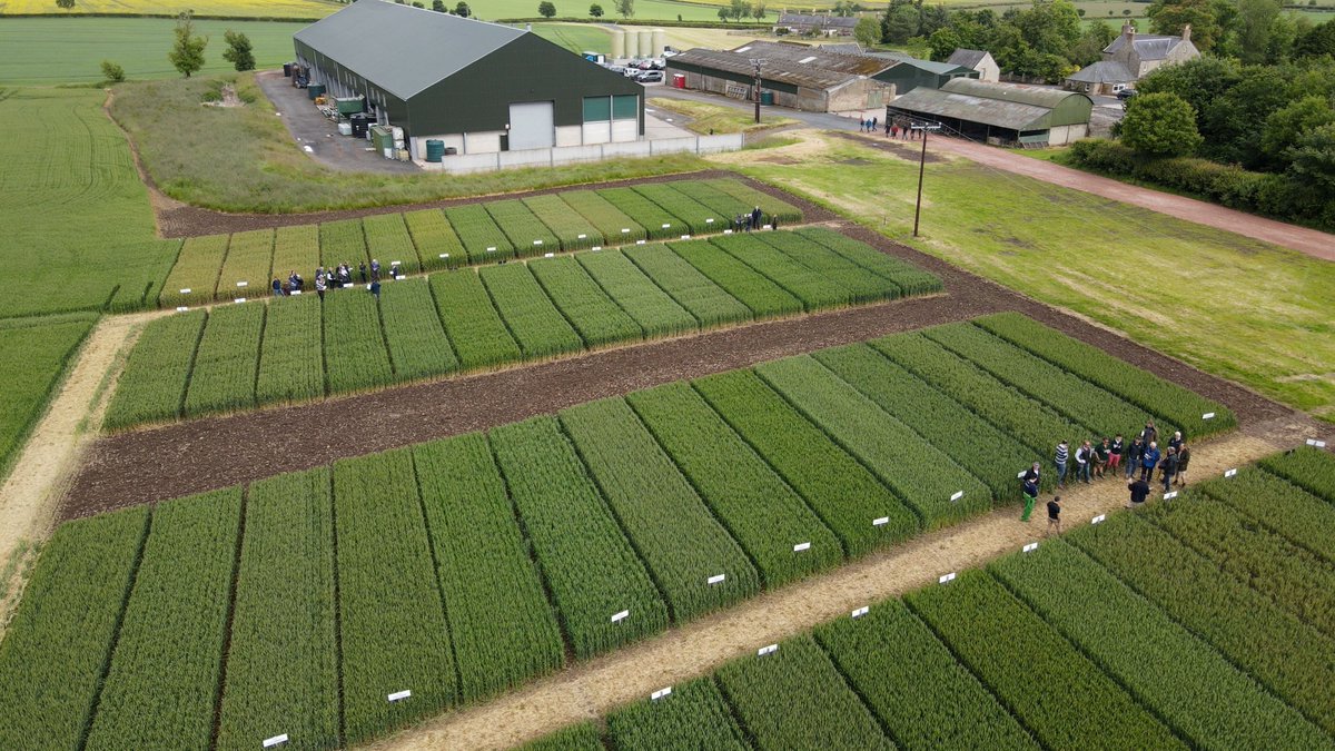 McCreath Simpson & Prentice tweet media