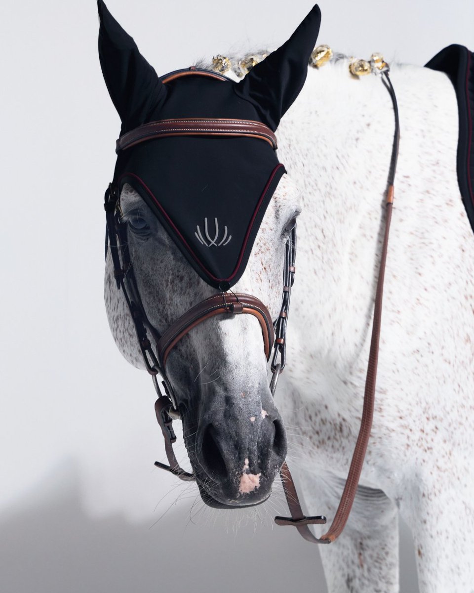VELDEREIS's tweet photo. At VEL DE REIS, we represent a way of riding, living and showing up with purpose.

Rooted in tradition. Driven by quality. Defined by elegance. Designed with intention. https://t.co/9N8ofH98LL
#equestrian #horseriding #equestrianclothing #riding #VELDEREIS #VEL_DE_REIS_EQUESTRIAN https://t.co/N6DjnuxpNQ