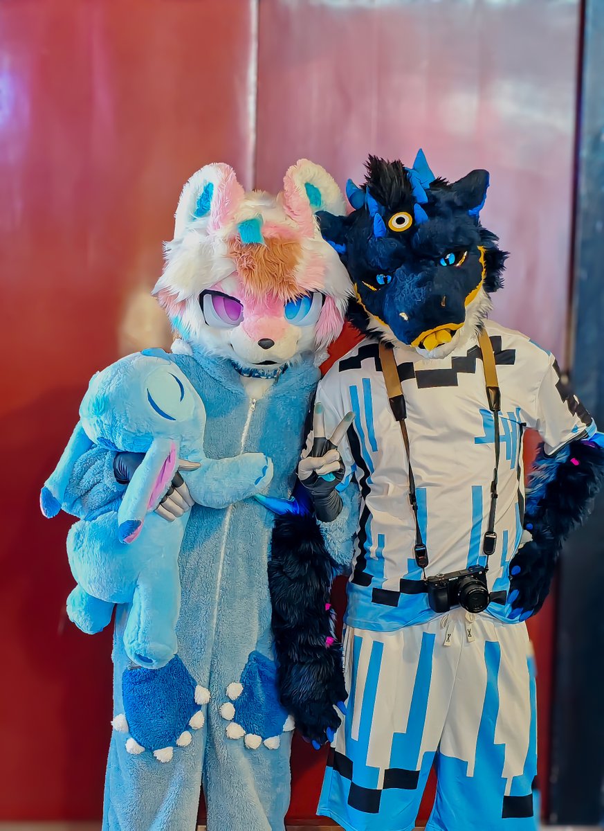 #FursuitFriday 
左: <a href="/Asamu_0605/">阿萨拉牌阿萨姆</a>