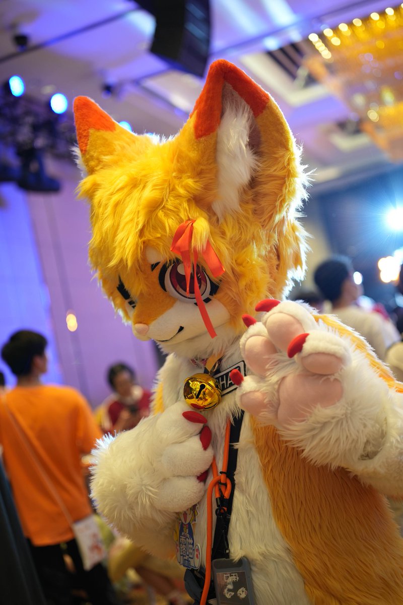 🐾

#FursuitFriday