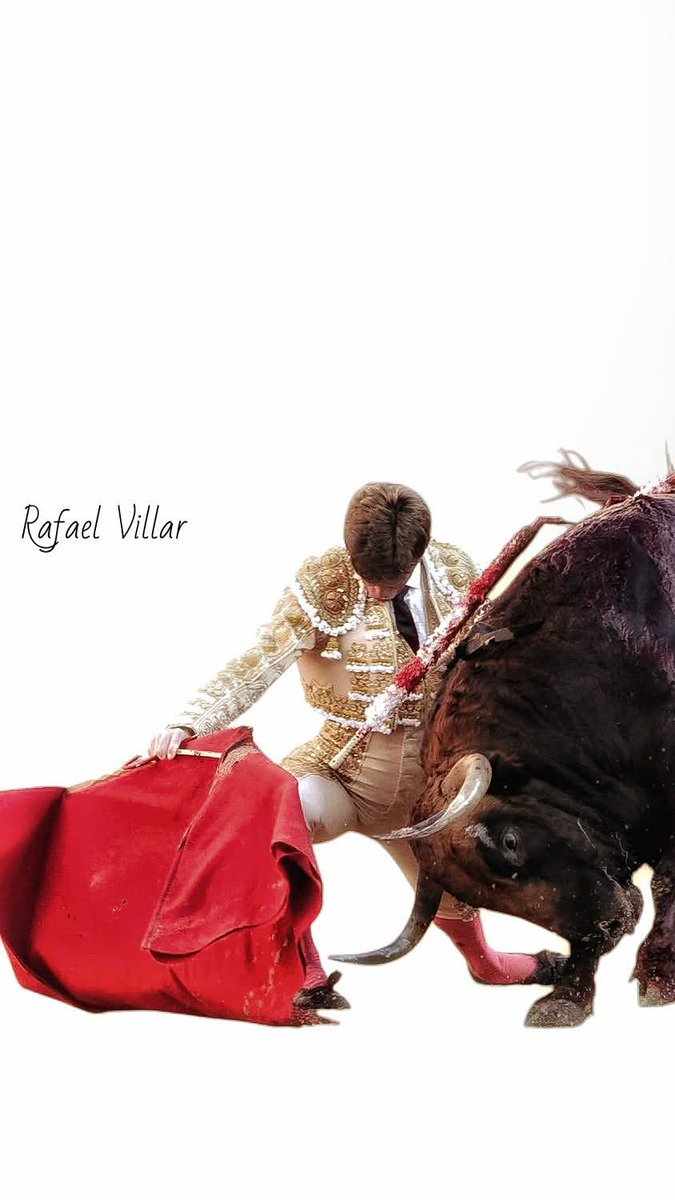 Borja Jiménez VS Vid 53, de Jandilla 
<a href="/cfcuartero01/">legionariA</a>  <a href="/Anticuario7/">@Anticuario</a> <a href="/aficcioncorucho/">Aficionado Corucho</a> <a href="/beatrice_marge/">Béatrice Margé</a> <a href="/PulgadeTriana/">José Ramón Márquez</a> <a href="/BurladeroJoveen/">BURLADERO JOVEN</a> <a href="/AntonioUriz/">𝒜𝓃𝓉𝑜𝓃𝒾𝑜 ℳ𝒶𝓃𝓏𝒶𝓃𝑜 𝒰𝓇𝒾𝓏.</a> <a href="/BacoTauro/">TauroBaco</a> <a href="/pacomillanchami/">Francisco Millán</a> <a href="/Damian_Bonilla1/">Δaμιav</a>