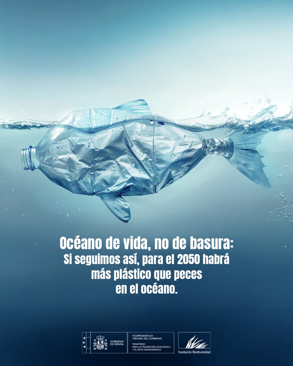 Actualmente hay entre 75 y 199 millones de toneladas de plástico en el océano
🔵 Ponen en riesgo la vida marina y los ecosistemas

Reducir plásticos de un solo uso, gestionar bien los residuos y reciclar es clave

Queremos océanos llenos de vida 💙

#DíaMundialdelosOcéanos 🌊