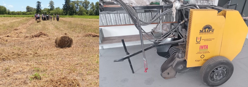 Minirotoenfardadora Kapi'i Mini, permite la obtención de rollos, de diferentes pasturas, mediante una cámara de núcleo flojo de 55 cm de ancho y 60 cm de diámetro, y funciona con una bomba hidráulica que posibilita el movimiento de los 18 rodillos. #OfertaTecnologicaINTA