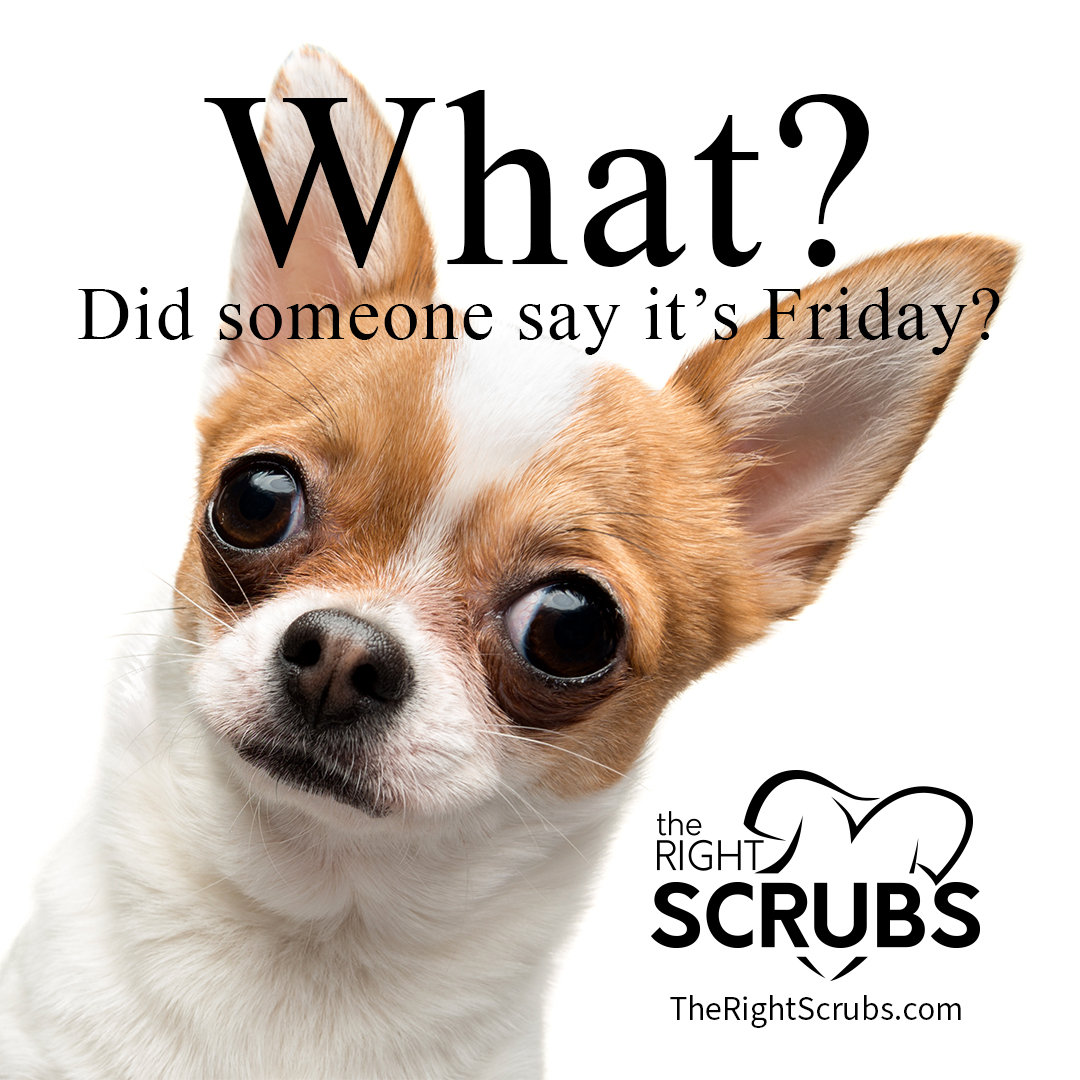 TheRightScrubs's tweet photo. Doggone it's Friday!! Make it a great day. 

#greatday #bestday https://t.co/hhiejMA8Up
