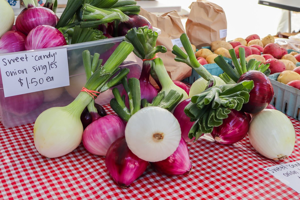 Tired of your grocery-shopping routine? Freshen things up by visiting the Kokomo Farmers Market for an out-of-the-ordinary shopping experience! Plus, everything you'll find will be grown or made locally! 🍅
Read more here: visitkokomo.org/farmers-market/