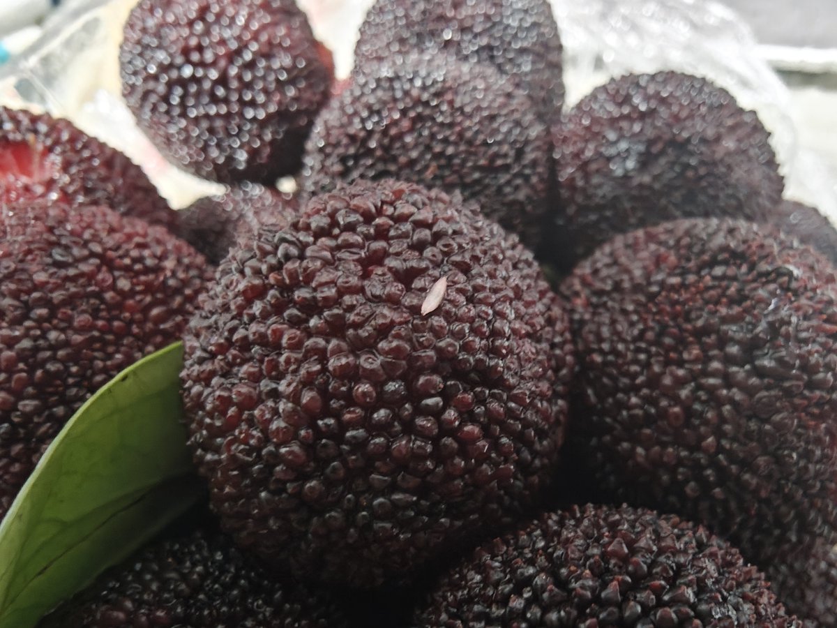 我裂开了🫠🫢😫  刚打开就看见高蛋白在蠕动…