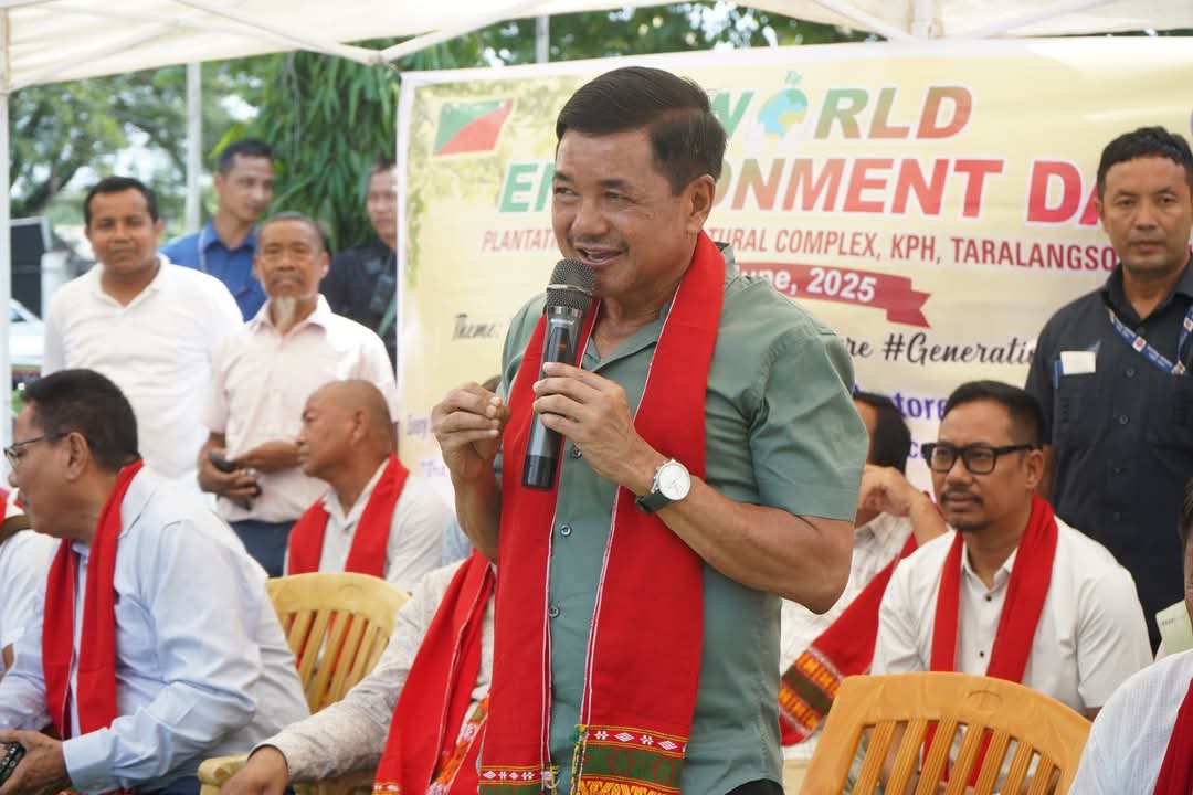 Tuliram Ronghang tweet media