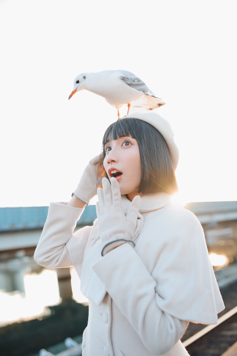 カモメ来ちゃった！