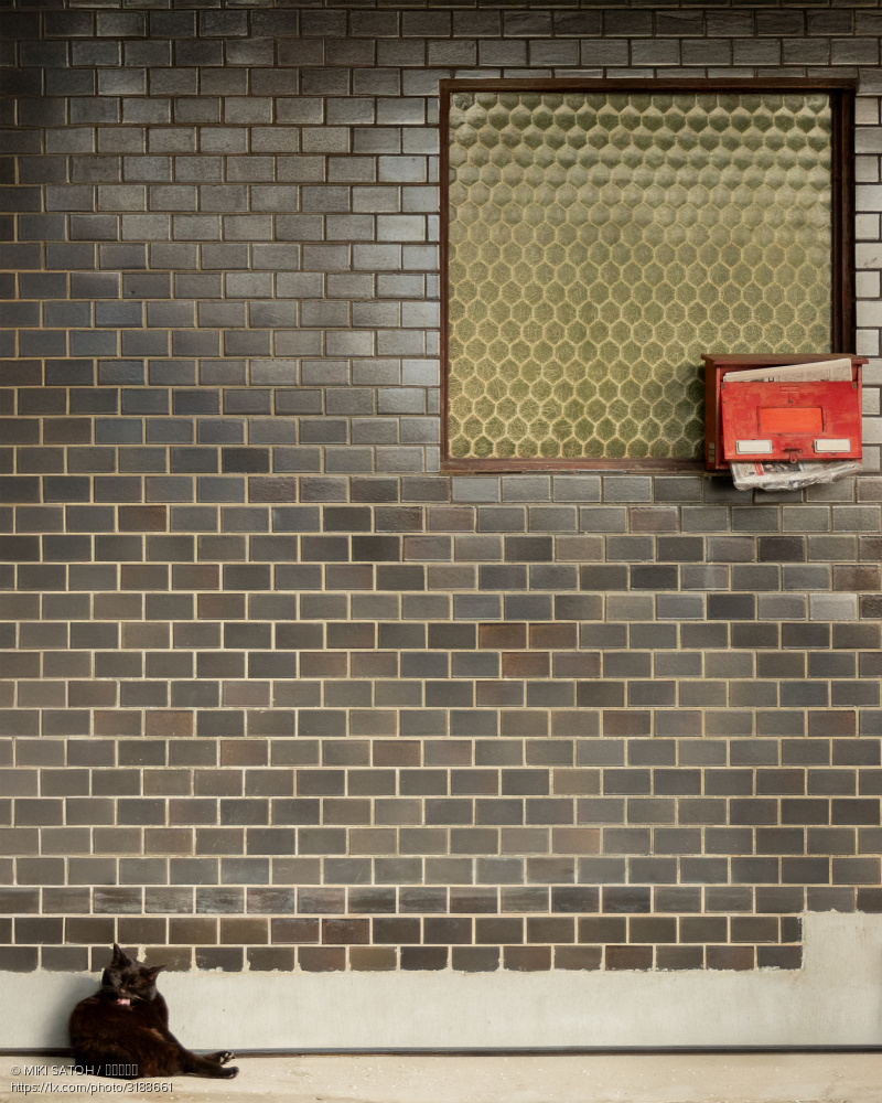 1x_com's tweet image. 'Morning Routine' by MIKI SATOH
1x.com/photo/3188661/… #streetphotography #wall #mailbox #cat #routine