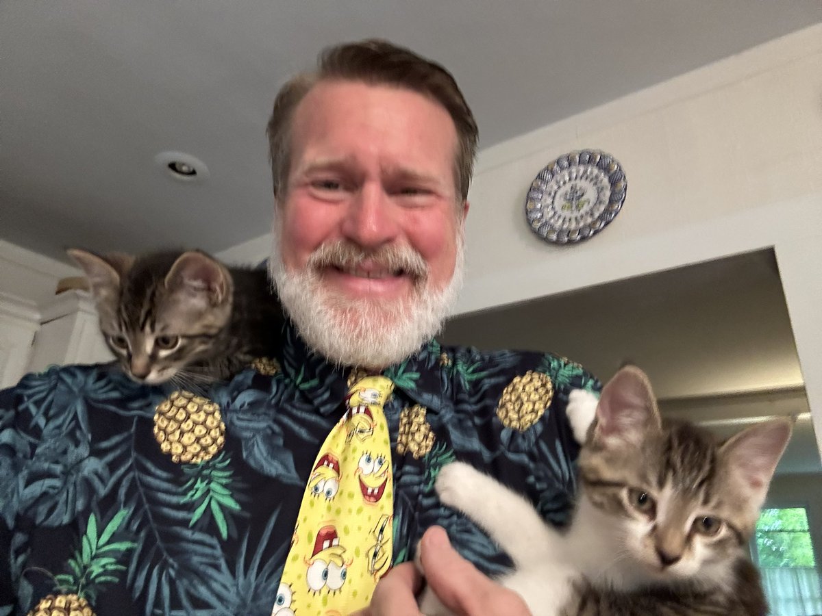 Chibarinclub's tweet photo. A vida cos gatiños é como a vida cos cativos.Tánche sempre enriba.Non sei se é polo conxunto que levo posto hoxe ou que, pero estes gatos estánme trepando.Será por amor.Casualmente, uns cativos no cole fan igual e queren que lles colla en brazos ou sentar no colo. Será por amor https://t.co/gTE3yMnI5b