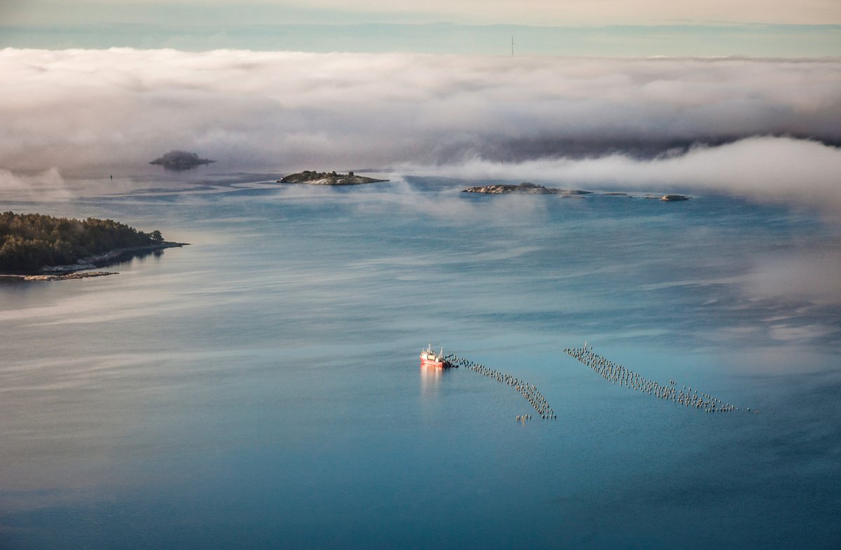 #WorldOceanDay celebrated 8 June raises awareness about the importance of the ocean and promote sustainable management of the world's oceans.

This year's theme, Sustainable Fishing Means More, underscores the importance of sustainable fishing practices.

📸: Per Pixel Petersson