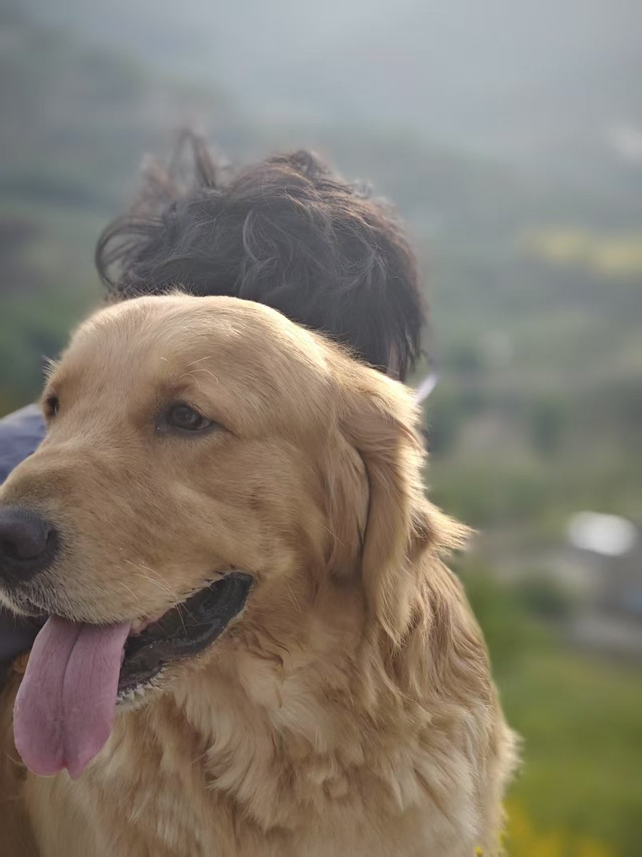 相信自己的善良与真诚配得上一切美好