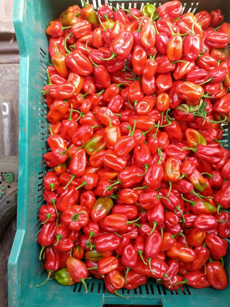 The Delta Force tweet media