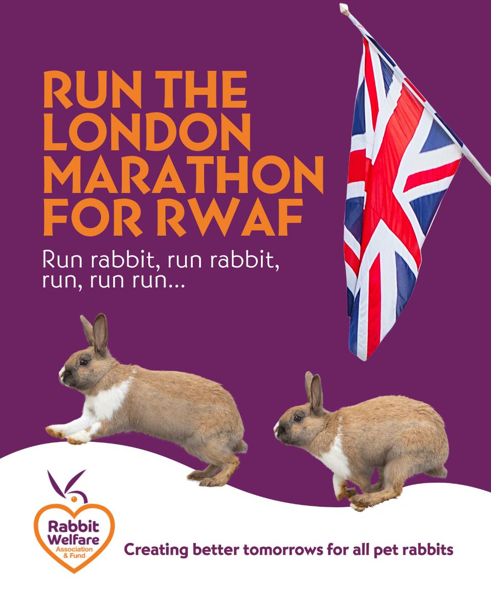 RabbitRWAF's tweet image. Are you looking to run the #LondonMarathon next year? If so, why not do it for the bunnies… 🏃🏻♂️🇬🇧🏃♀️
We have some guaranteed charity places available for the 2026 London Marathon & applications are now open to join #TeamRWF by fundraising for us!
rabbitwelfare.co.uk/challenge-even…
