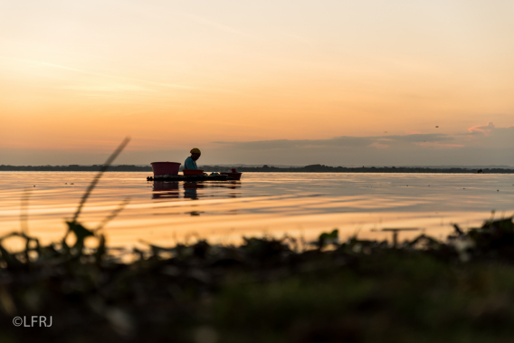 Uno de los conceptos más destacados de las investigaciones de Orlando Fals Borda es el de cultura anfibia. Este concepto se refiere a los valores y creencias que desarrollan quienes viven en la Depresión momposina y conforman el "hombre anfibio".
 panoramacultural.com.co/pueblos/10731/…