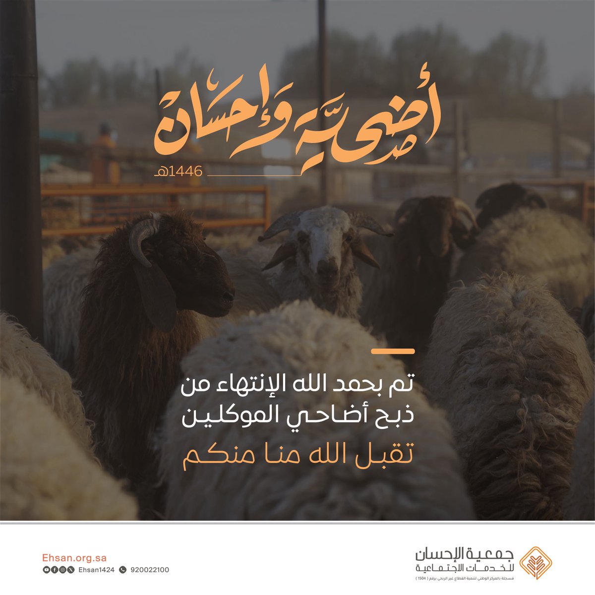 تم بحمد الله الإنتهاء من ذبح جميع أضاحي الموكلين بنسبة 100%، ويبلغ عدد الأضاحي 878 أضحية، تقبل الله أضاحيكم .

#جمعية_الإحسان