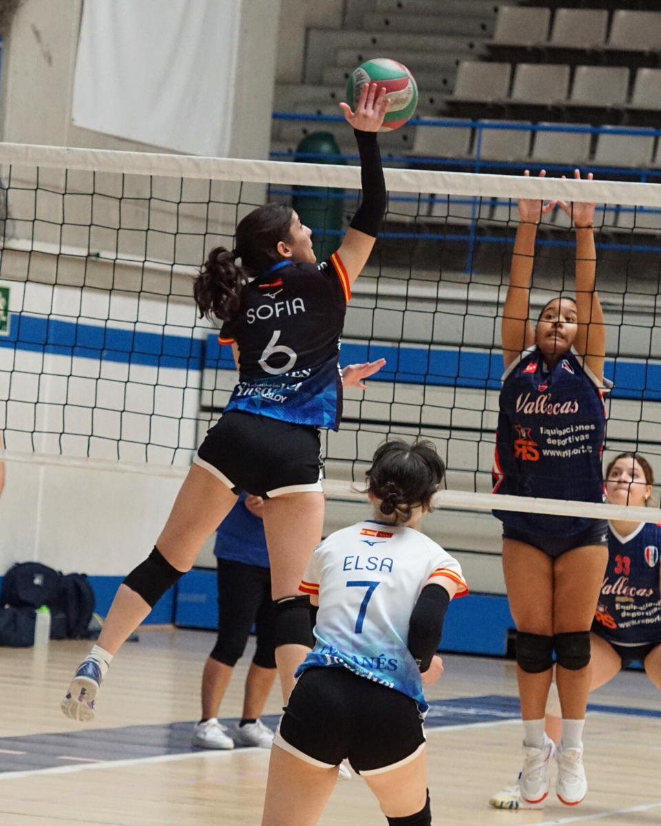 VoleibolLeganes's tweet photo. 🌸 ¡Este finde se juega la Liga de Primavera!
🏐 Nuestros equipos están listos para dejarlo todo en la pista. ¡A por todas! 💪
#LigaDePrimavera 🏆 | #VamosLega 💙🤍 https://t.co/54jWK9OUSo
