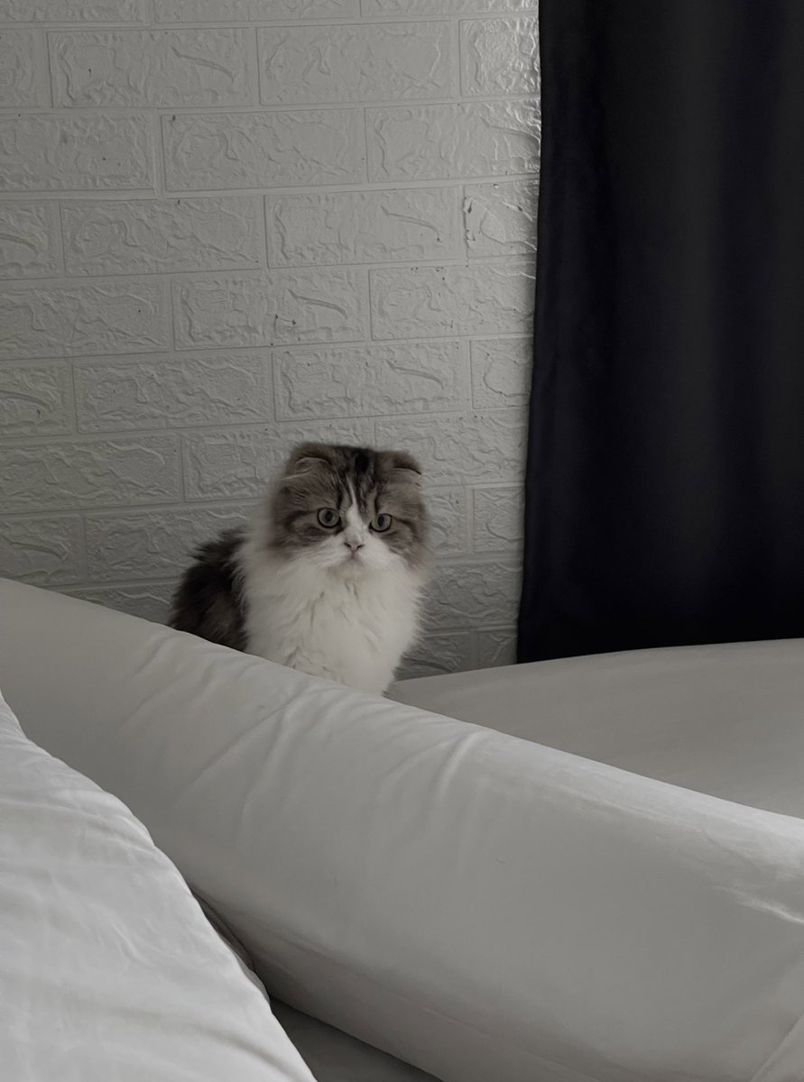 ราม tweet media