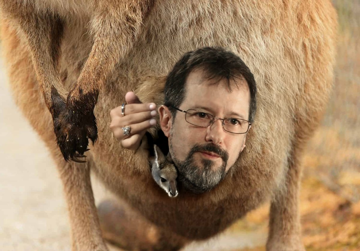 Nothing to see here...